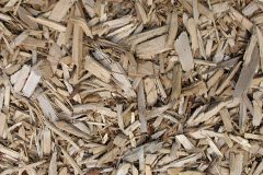 biomass boilers Taxal