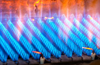 Taxal gas fired boilers